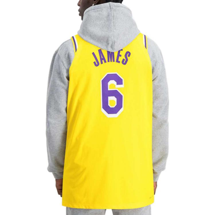 Nike x NBA LA Lakers Jersey 'LeBron James #6' – DB3317-730