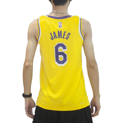 Nike NBA Los Angeles Lakers LeBron James #6 Swingman Jersey – Gold | DB3576-731