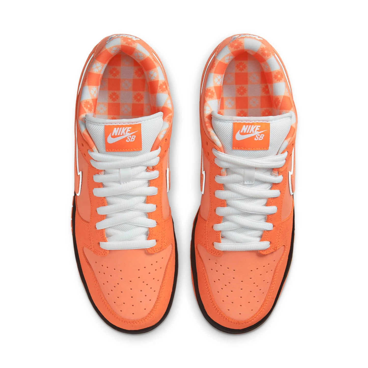 NikeSB Dunk Low 'Concepts Orange Lobster' FD8776-800